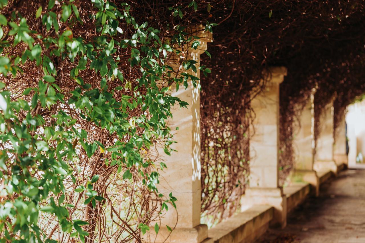 Masseria Ancella Montalbano  Eksteriør billede